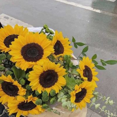 欢乐斗牛腾讯下载手机版