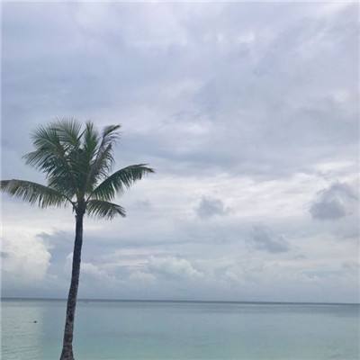 狗万manbet手机app下载截图