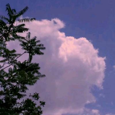 722cc彩票手机app下载